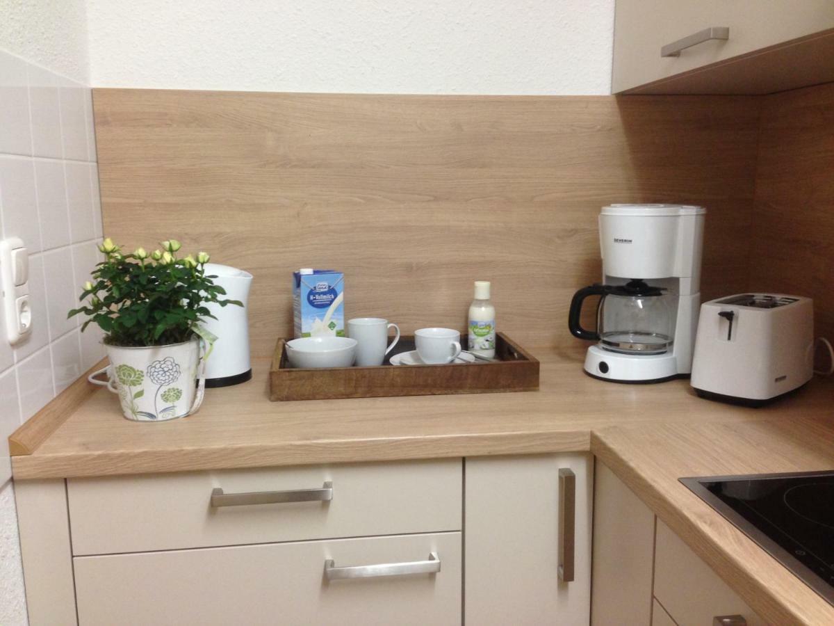 Ferienwohnung Ortrand - Pension Buitenkant foto