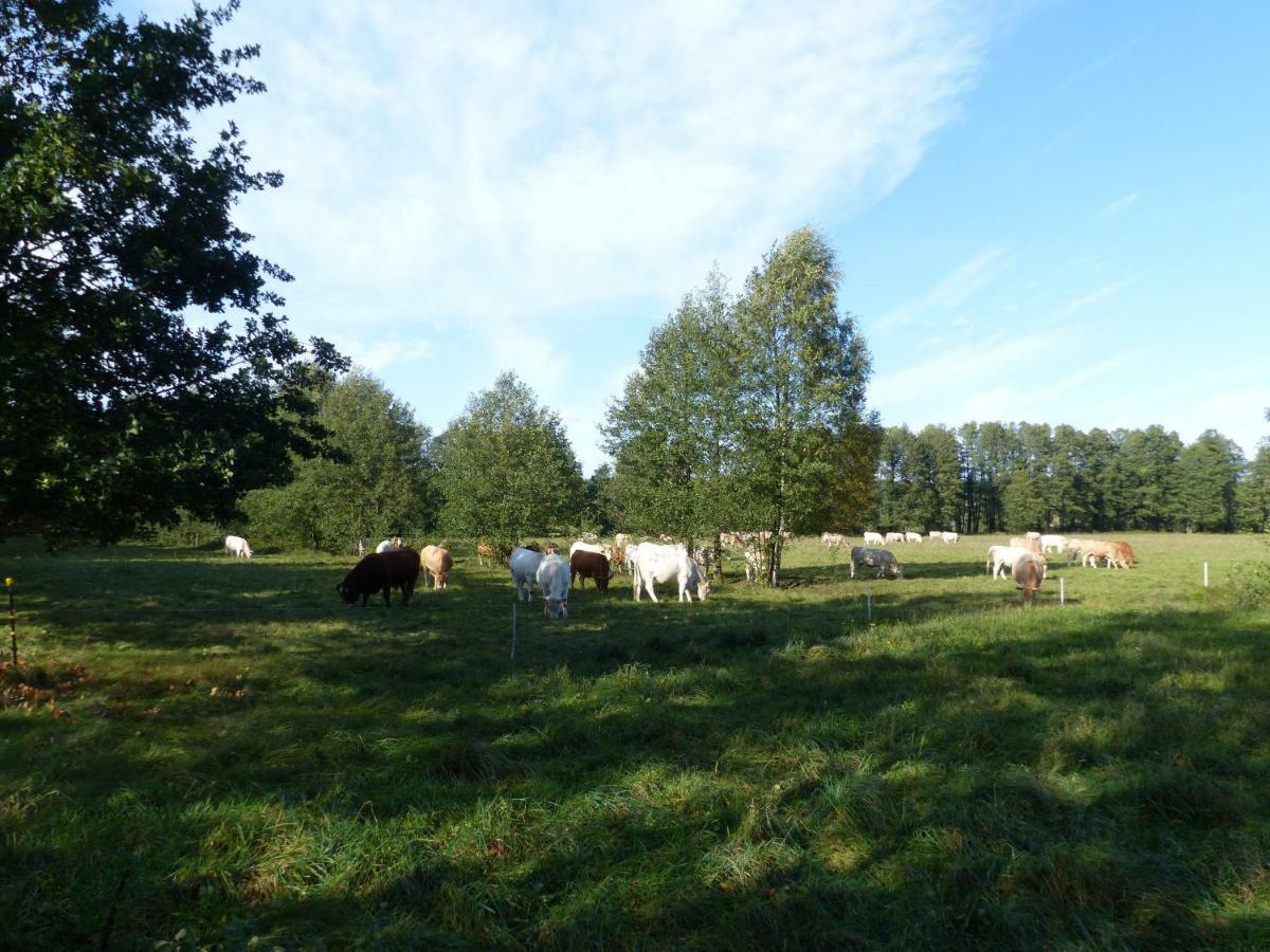 Ferienwohnung Ortrand - Pension Buitenkant foto