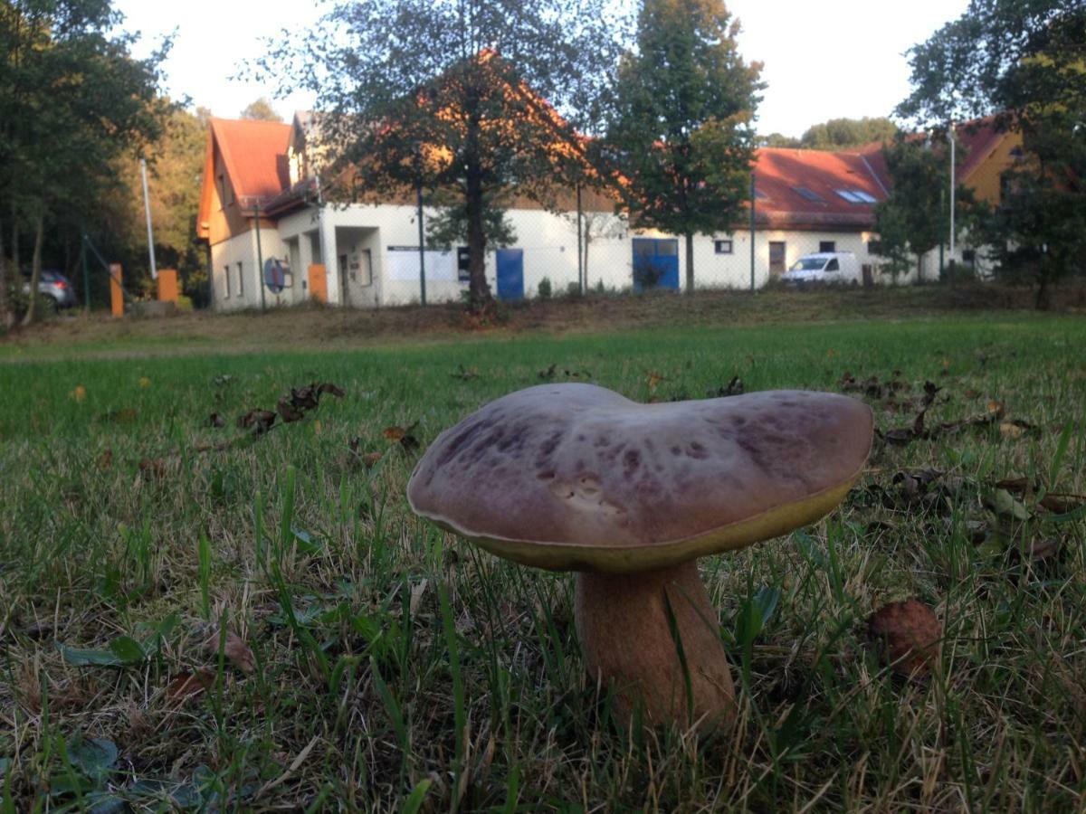 Ferienwohnung Ortrand - Pension Buitenkant foto